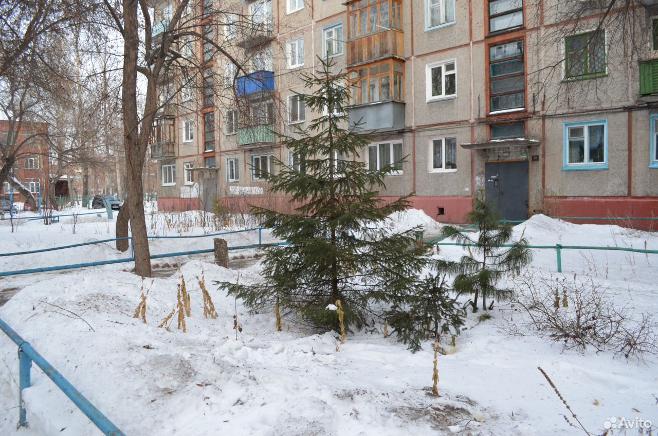 Погода пос чкаловский. Чкаловский поселок Омск. Омск Чкаловский. Ул. Петра Осминина, 5, посёлок Чкаловский, Омск. Лес поселка Чкаловский Омск.