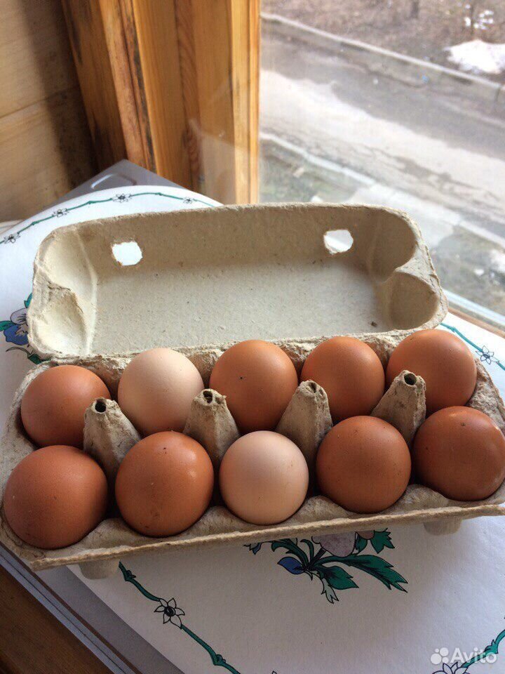 Продам домашние куриные яйца крупные купить на Зозу.ру - фотография № 3