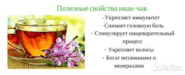 Иван-чай купить на Зозу.ру - фотография № 2