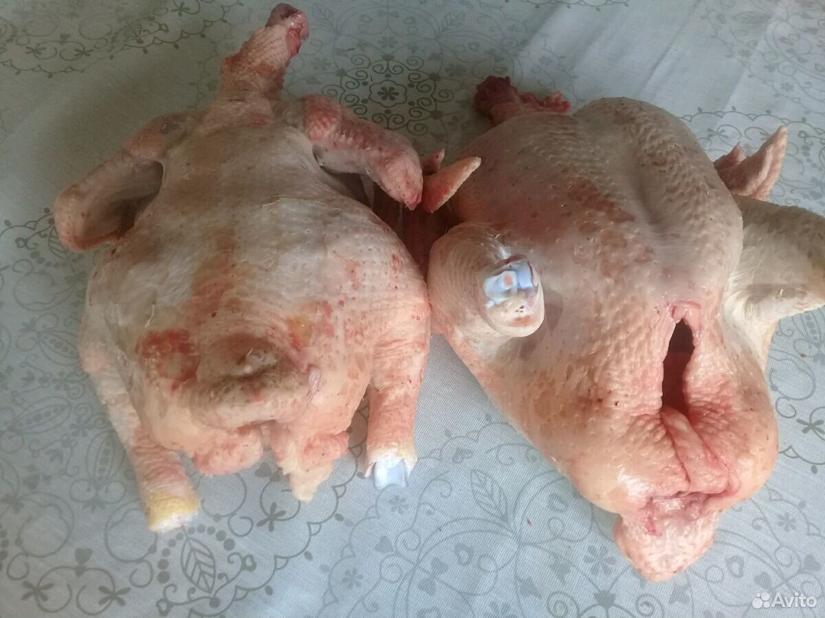 Мясо цыплят бройлеров яйца Бартер купить на Зозу.ру - фотография № 5