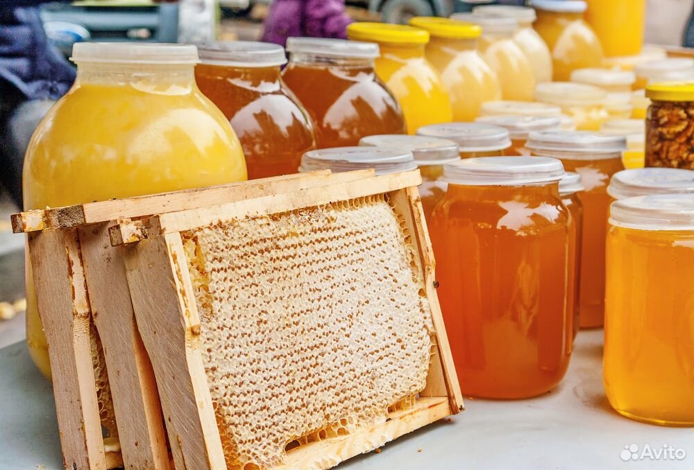 Мёд дягилевый с Салаирского кряжа Алтайский край купить на Зозу.ру - фотография № 1