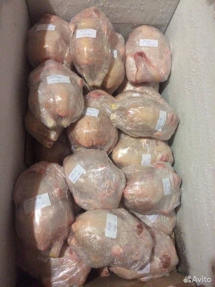 Мясо цыплят бройлеров купить на Зозу.ру - фотография № 3