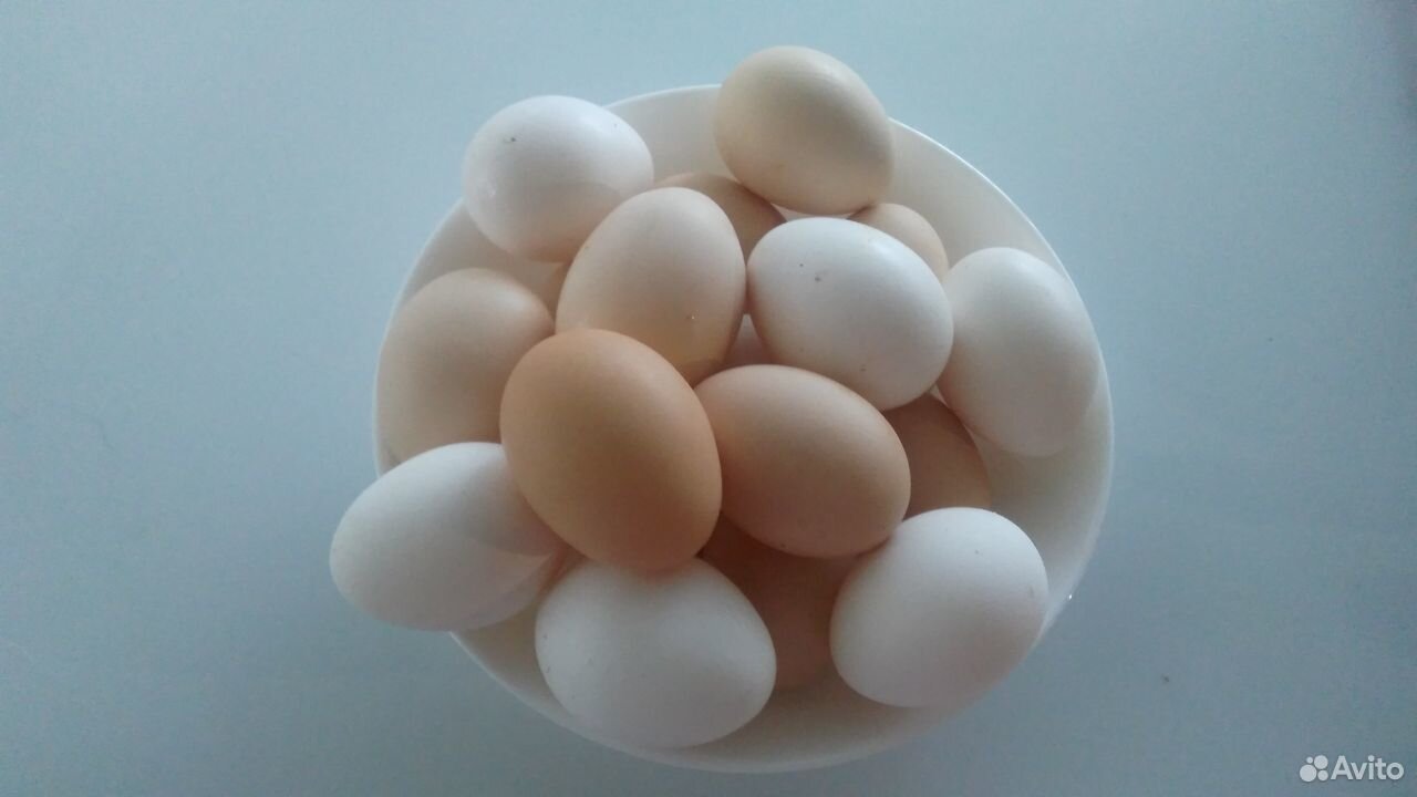 Домашнее яйцо (куриное, перепелиное), п.Кокоревка купить на Зозу.ру - фотография № 1