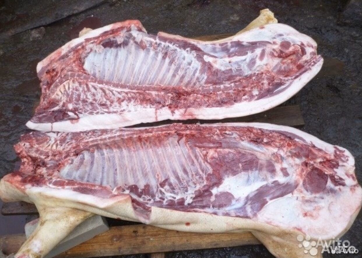 Мясо свинины в живом весе купить на Зозу.ру - фотография № 1