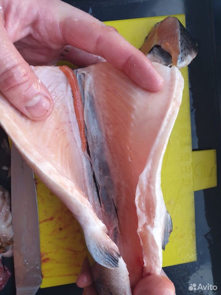 Рыба форель свежемороженая шоковой заморозки купить на Зозу.ру - фотография № 4