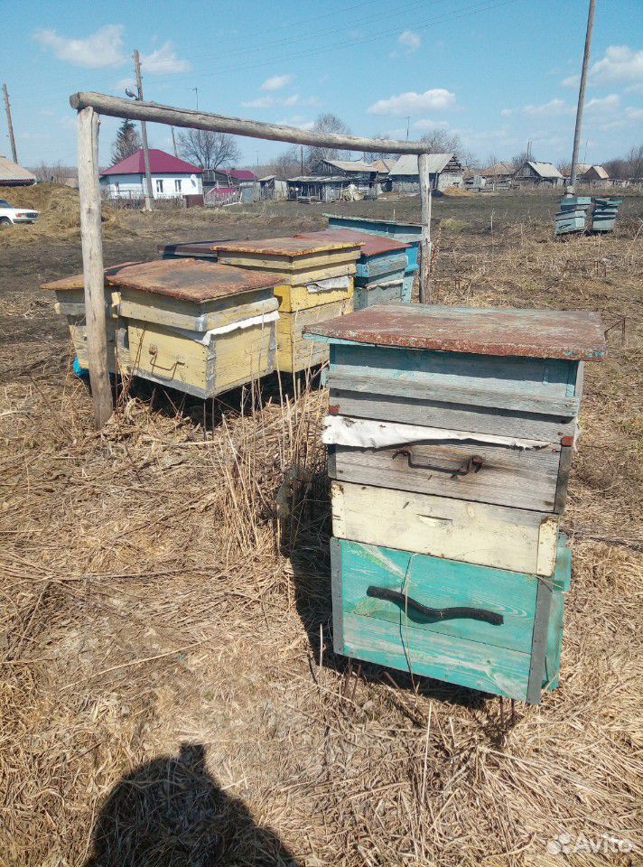 Пчелоинвентарь купить на Зозу.ру - фотография № 3