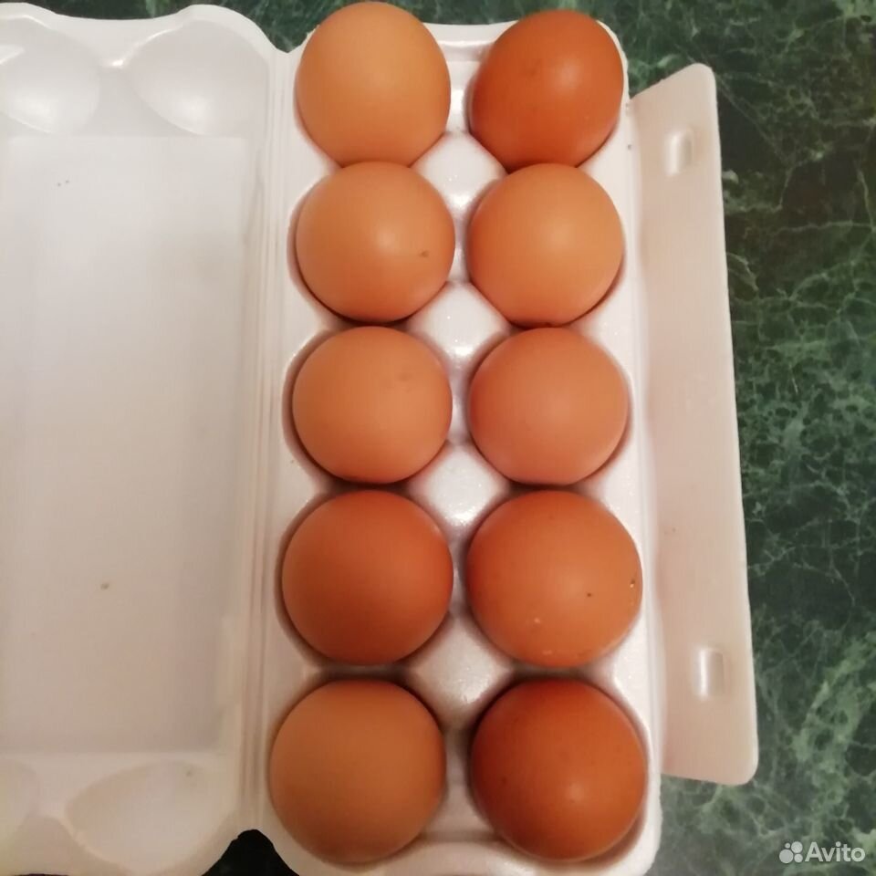 Яйцо домашнее, ароматное, полезное,вкусное, зколог купить на Зозу.ру - фотография № 1