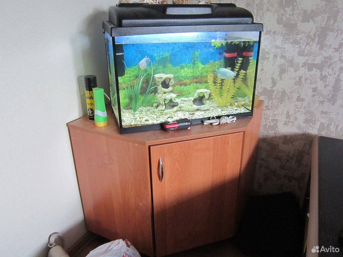 Продам аквариум на 70 л. со всем "добром" купить на Зозу.ру - фотография № 1