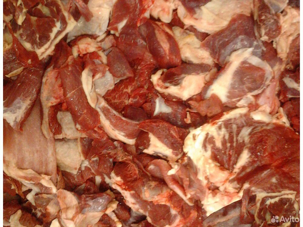 Котлетное мясо (говядина) купить на Зозу.ру - фотография № 1