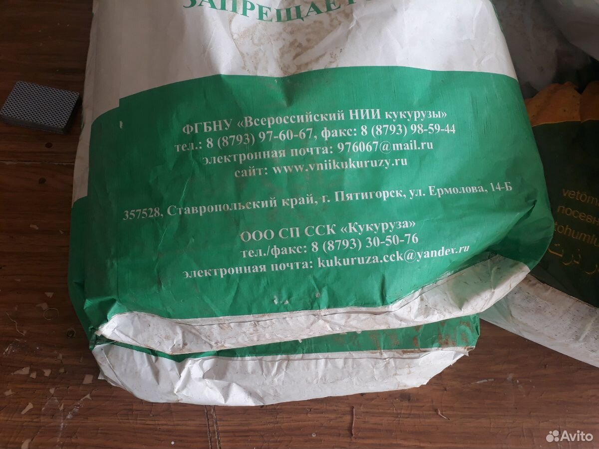 Кукуруза (семена) купить на Зозу.ру - фотография № 2