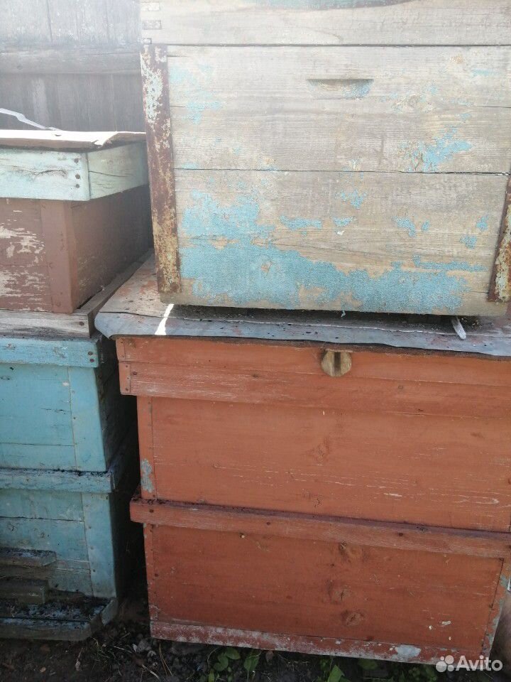 Улей для пчёл купить на Зозу.ру - фотография № 1