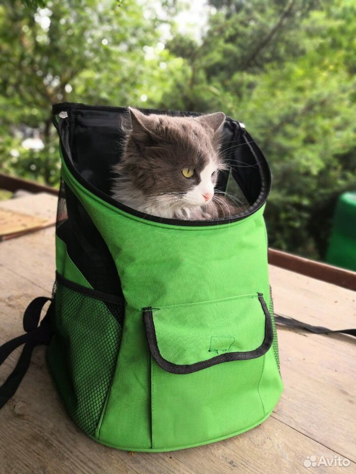 Рюкзак для кошек и мелких собак купить на Зозу.ру - фотография № 1