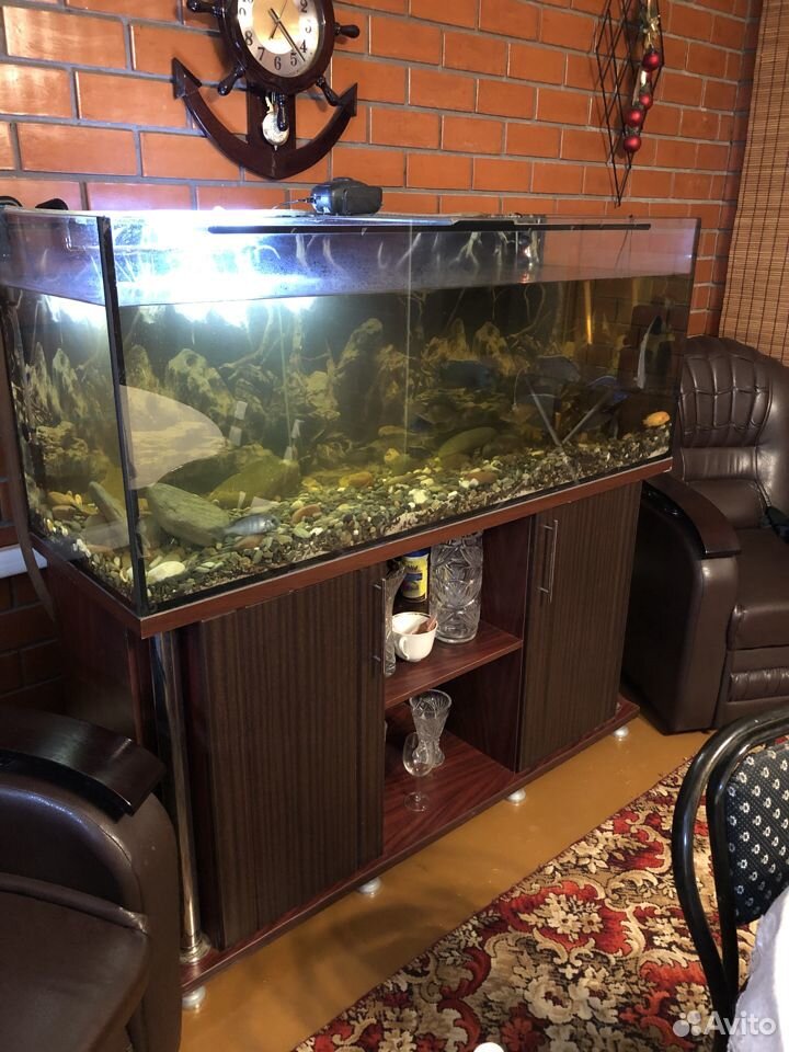 Большой готовый аквариум с рыбками купить на Зозу.ру - фотография № 2