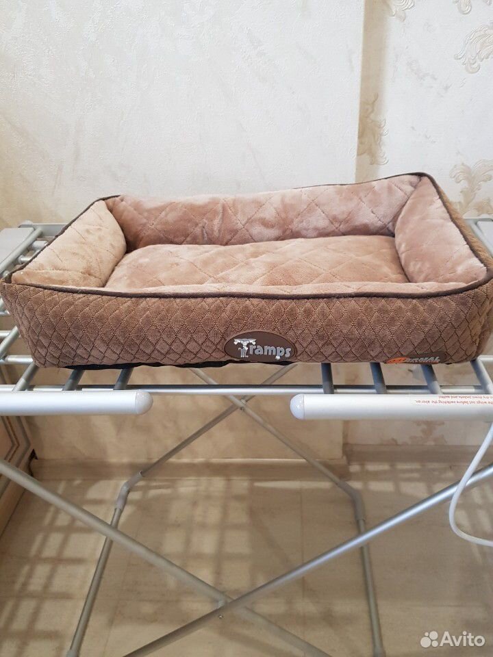 Лежак и туалет для кота купить на Зозу.ру - фотография № 4