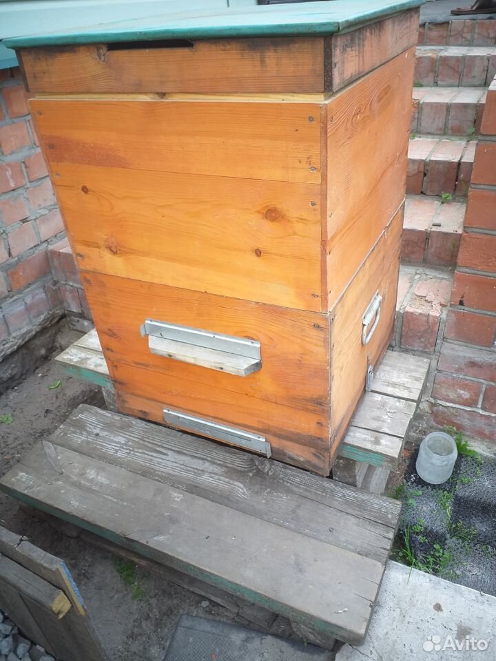 Пчелиный улей купить на Зозу.ру - фотография № 2