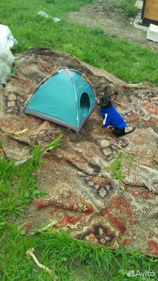 Палатка для собаки купить на Зозу.ру - фотография № 2