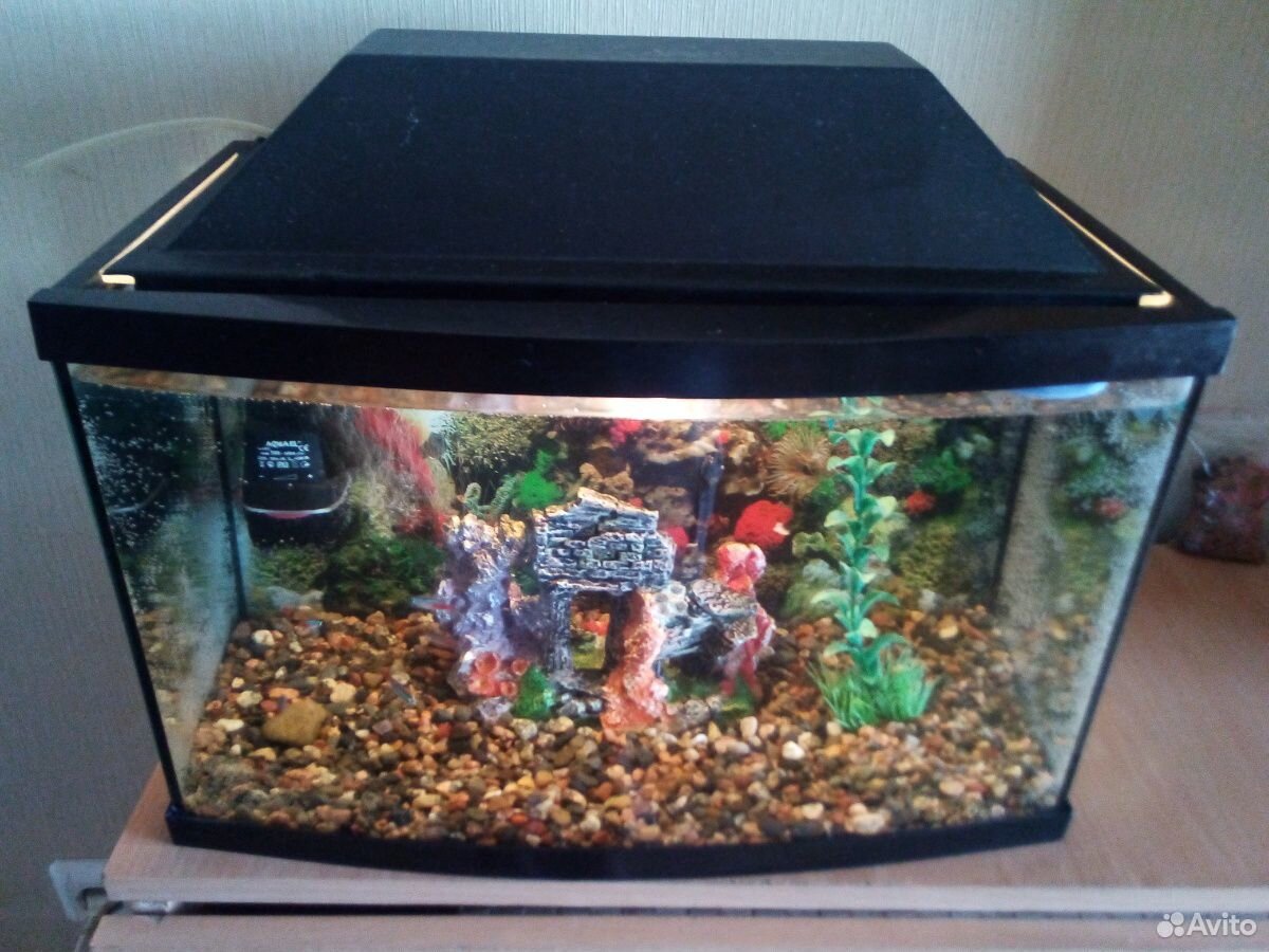 Украшение для аквариума аквариум 25 литров с рыбка купить на Зозу.ру - фотография № 2