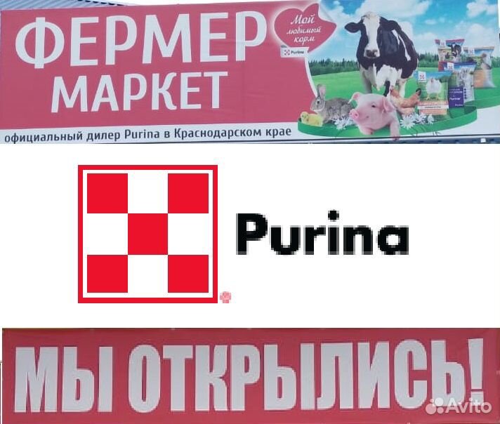 Пурина теперь в энеме Purina купить на Зозу.ру - фотография № 1