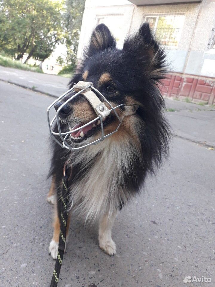 Намордник для собаки купить на Зозу.ру - фотография № 2