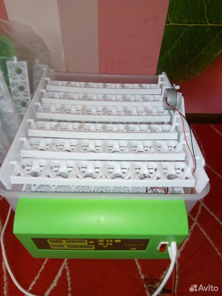 Инкубатор автоматический двухкамерный Спектр-84 (0 купить на Зозу.ру - фотография № 2