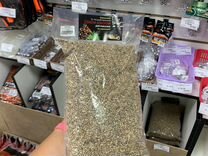 Продажа семян марихуаны заказать деньги при взятии товара браузер тор для люмии gydra