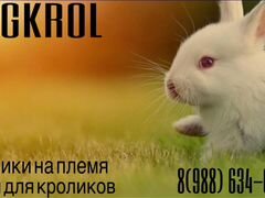 Комбикорм для кроликов, полнорационный корм