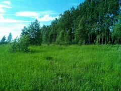 Купить Участок Кстовский Район Нижегородской