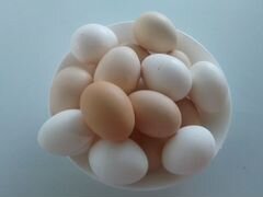 Домашнее яйцо (куриное, перепелиное), п.Кокоревка
