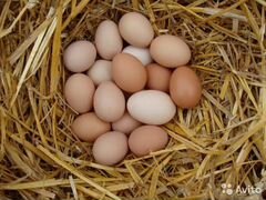 Яйца куриные домашние из деревни