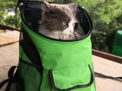 Рюкзак для кошек и мелких собак