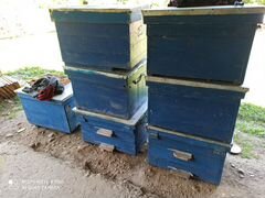 Ящики для пчел