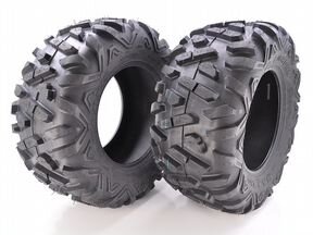 Шины maxxis. Квадрошина 26*12.00-12 Maxxis m-918 Bighorn 6сл. Maxxis Bighorn 1.0. Шина Maxxis Bighorn 30x10r14 6 Ply. At26x10-12 (Maxxis Bighorn м918.