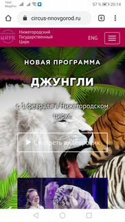 Билеты в Нижегородский цирк на 22.02.2020