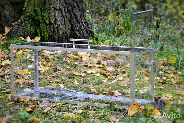 Котоловка аренда