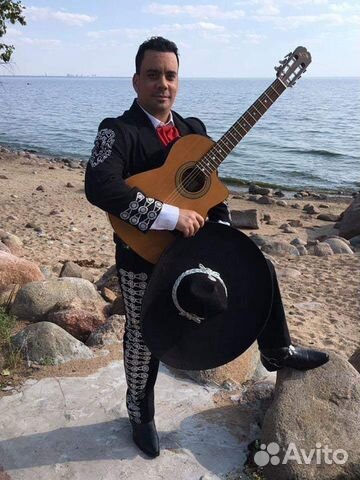 Музыкант, певец, гитарист, вокалист