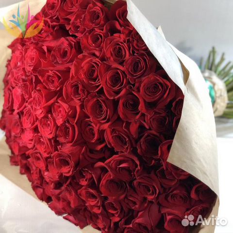 Пионы цветы 101 Роза