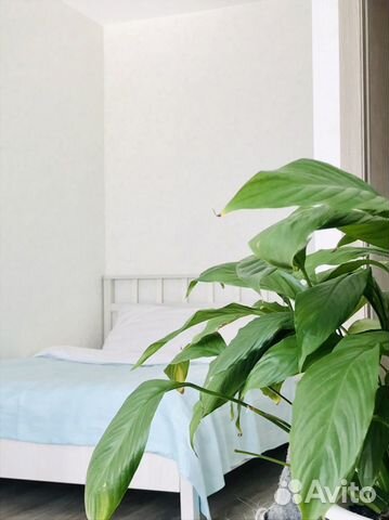 

1-к. квартира, 33 м², 3 кровати