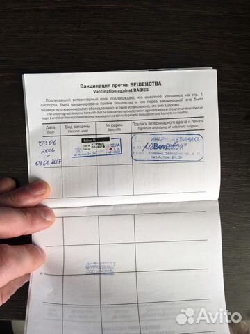 Вязка Вязка