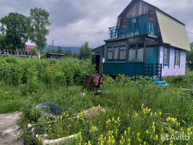 Дача сигнал. Дачный Камчатский край. Лучшие дачи Камчатки. Дача на Камчатке лето. Дачи с участком в п.Камчатском Елизовский район.