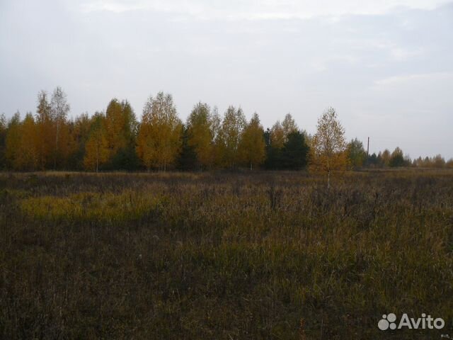 Участок 50 сот. (ИЖС) Участок 50 сот. (ИЖС)