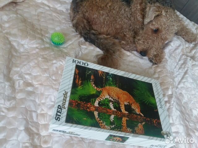 Паззл на 1000 частей Паззл на 1000 частей