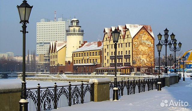 Новый Год В Калининграде Отзывы