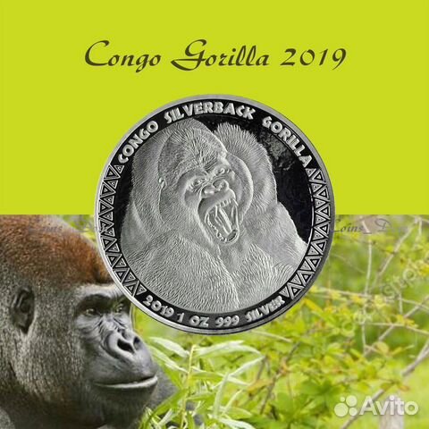 Новинка 2019 Конго (чеканка в США) Горилла 5 релиз Новинка 2019 Конго (чеканка в США) Горилла 5 релиз