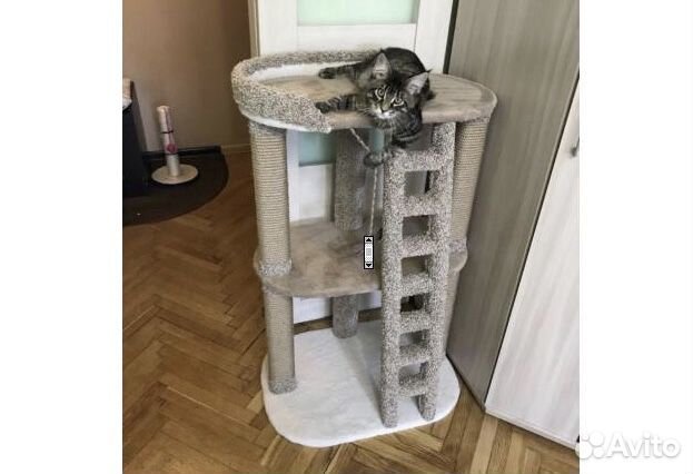 Когтеточка Для Кошек Купить В Красноярске