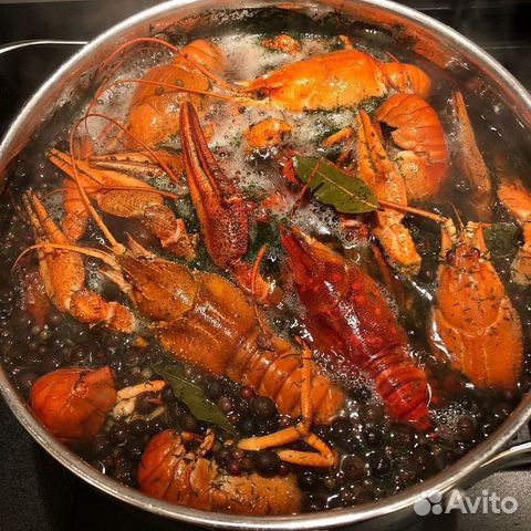 Живые Раки, Крабы, Морепродукты с доставкой