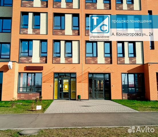 Помещение в покупку, 144.5 м²