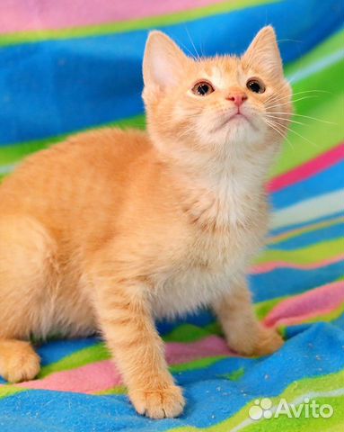 Смайлик - рыжий мальчуган Смайлик - рыжий мальчуган