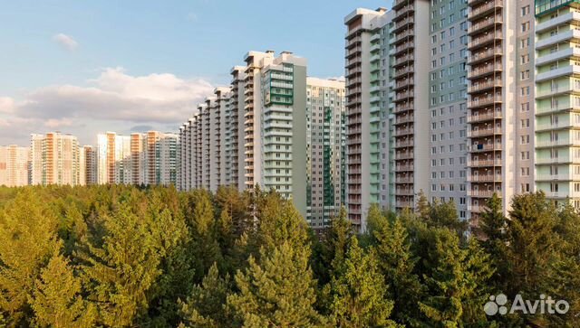 1-к квартира, 31.2 м², 2/25 эт. 1-к квартира, 31.2 м², 2/25 эт.