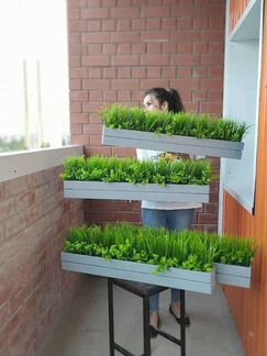 Искусственная зелень