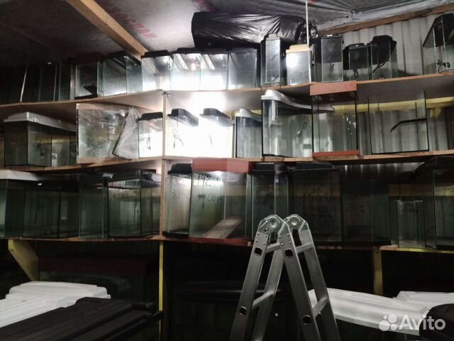 Аквариумы на заказ